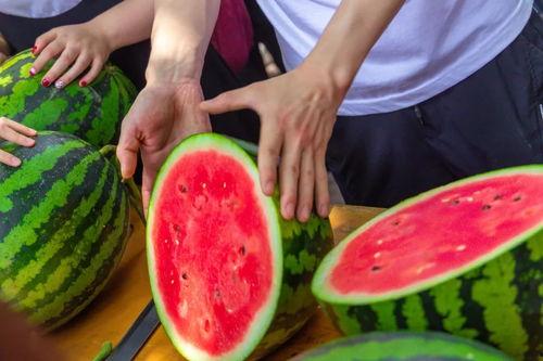 免费吃瓜真人,揭秘真人生百态 第1张 免费吃瓜真人,揭秘真人生百态 第1张