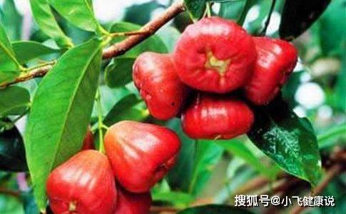 娱乐吃瓜酱皮肤管理,皮肤管理新潮流  第2张