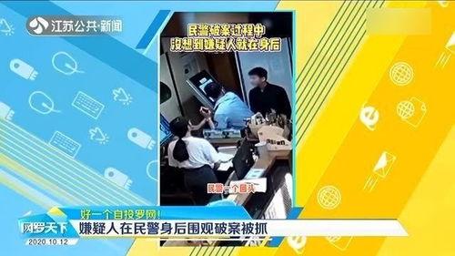 破案又吃瓜免费阅读,瓜田里的正义传奇  第2张