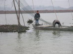 沅江新闻爆料事件,真相与舆论的交织  第2张